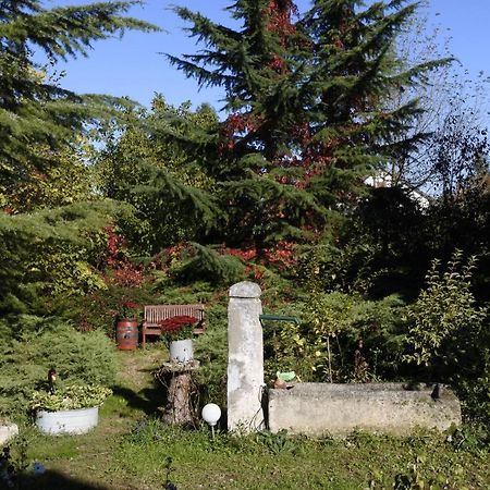Villa-Magdi Vendeghaz Révfülöp المظهر الخارجي الصورة