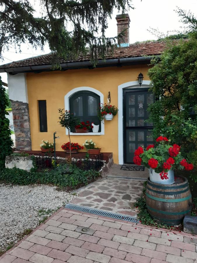 Villa-Magdi Vendeghaz Révfülöp المظهر الخارجي الصورة