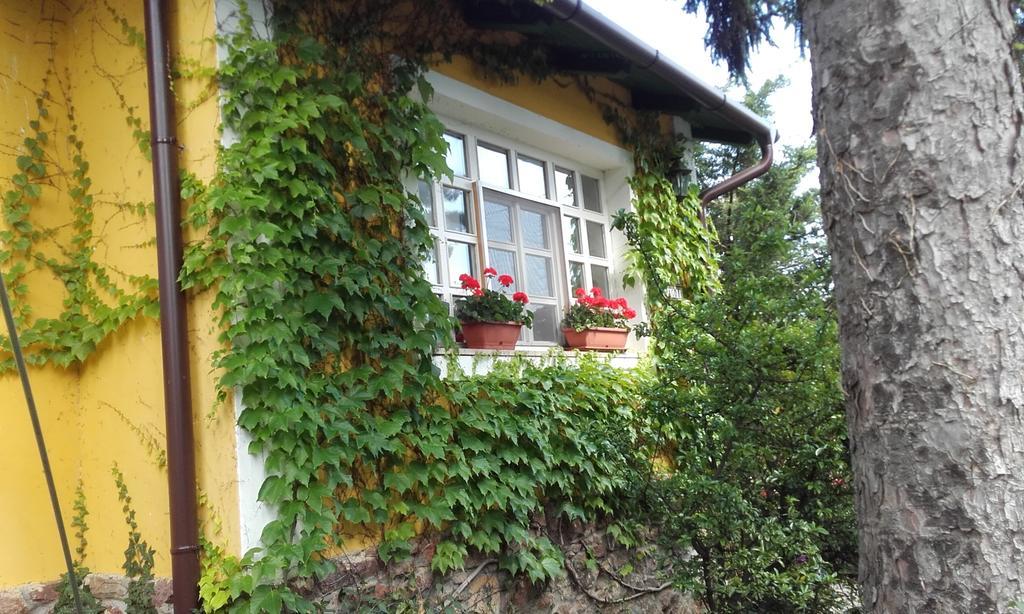Villa-Magdi Vendeghaz Révfülöp المظهر الخارجي الصورة