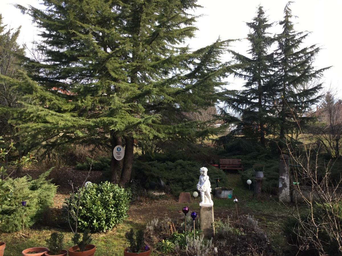 Villa-Magdi Vendeghaz Révfülöp المظهر الخارجي الصورة