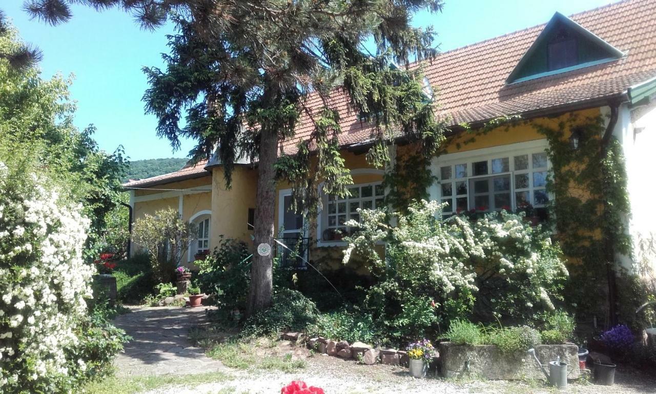 Villa-Magdi Vendeghaz Révfülöp المظهر الخارجي الصورة